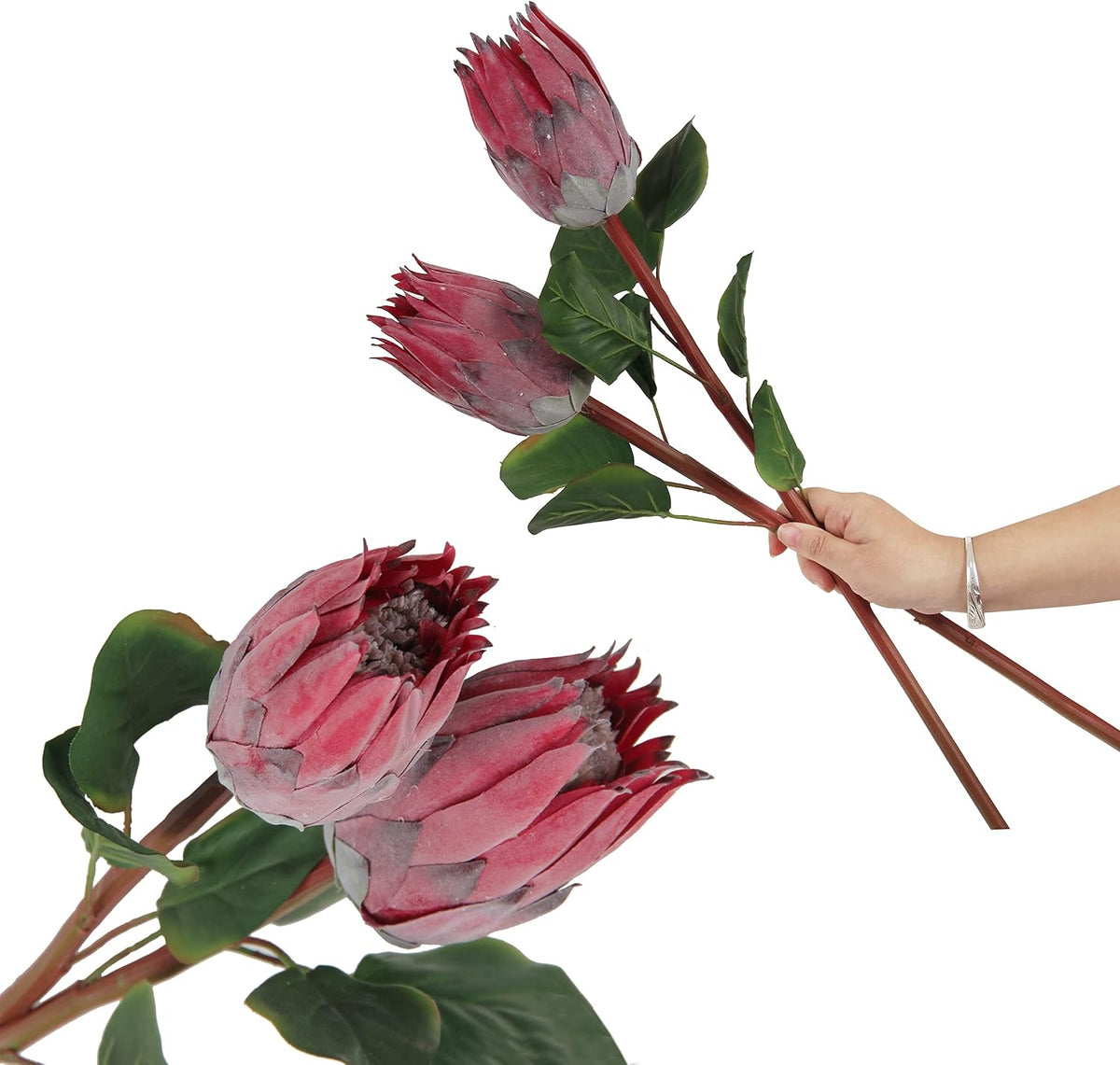 4pcs Artificial Protea Flower Buds,26 Inch Super Long Stem Faux Protea Artificial Flower Bud, Silk Protea Bud for Home Decor Centerpiece Crafts Wedding Bouquet,Dark Red
