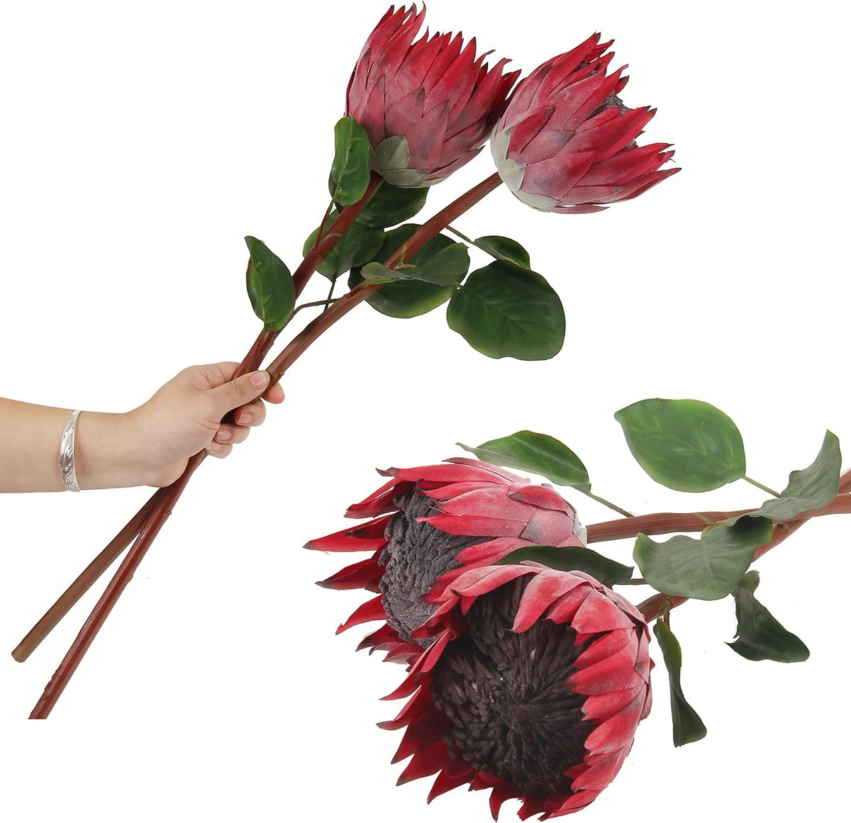 4pcs Artificial Protea Flower Buds,26 Inch Super Long Stem Faux Protea Artificial Flower Bud, Silk Protea Bud for Home Decor Centerpiece Crafts Wedding Bouquet,Dark Red