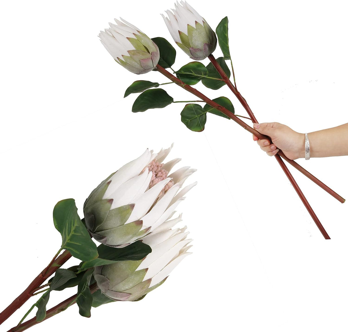 4pcs Artificial Protea Flower Buds,26 Inch Super Long Stem Faux Protea Artificial Flower Bud, Silk Protea Bud for Home Decor Centerpiece Crafts Wedding Bouquet,Dark Red