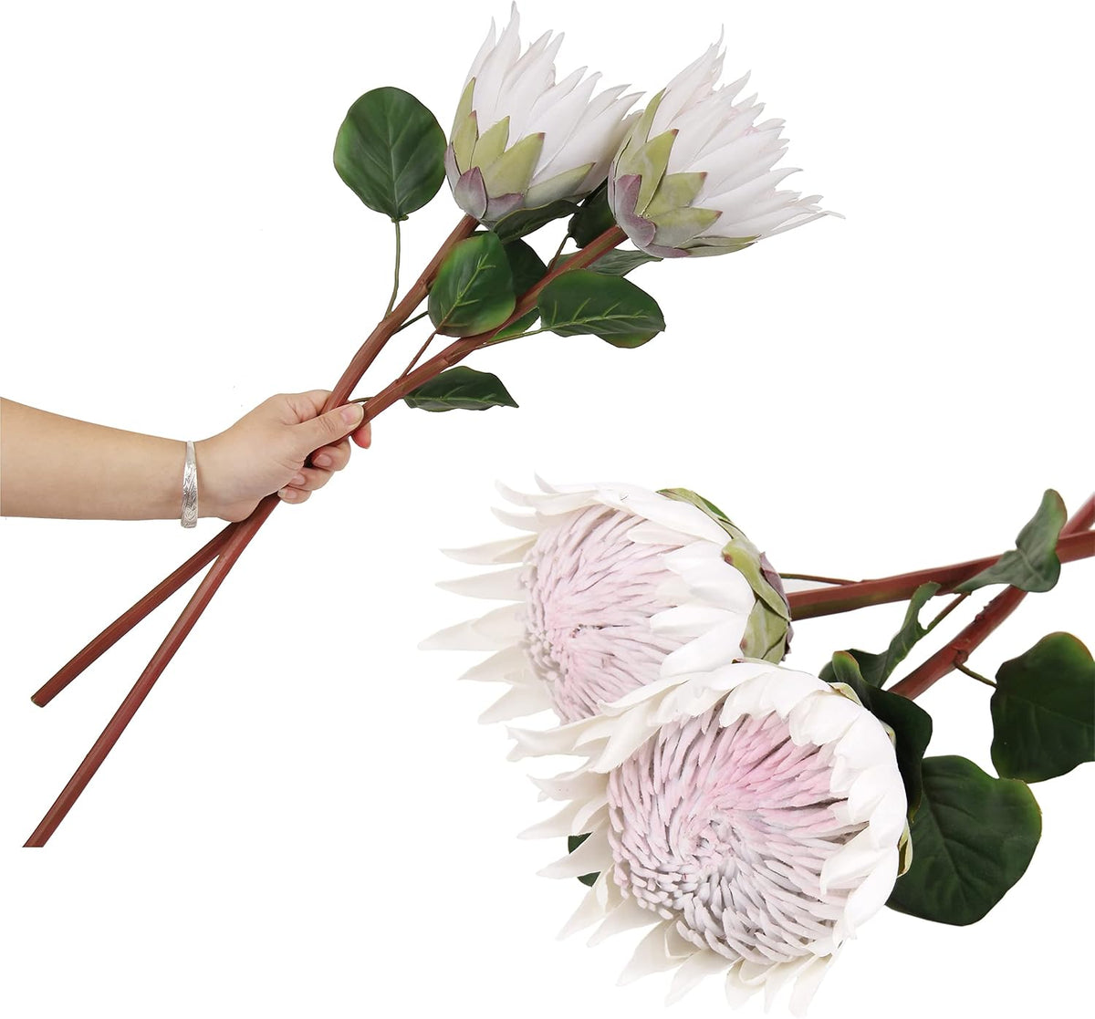 4pcs Artificial Protea Flower Buds,26 Inch Super Long Stem Faux Protea Artificial Flower Bud, Silk Protea Bud for Home Decor Centerpiece Crafts Wedding Bouquet,Dark Red