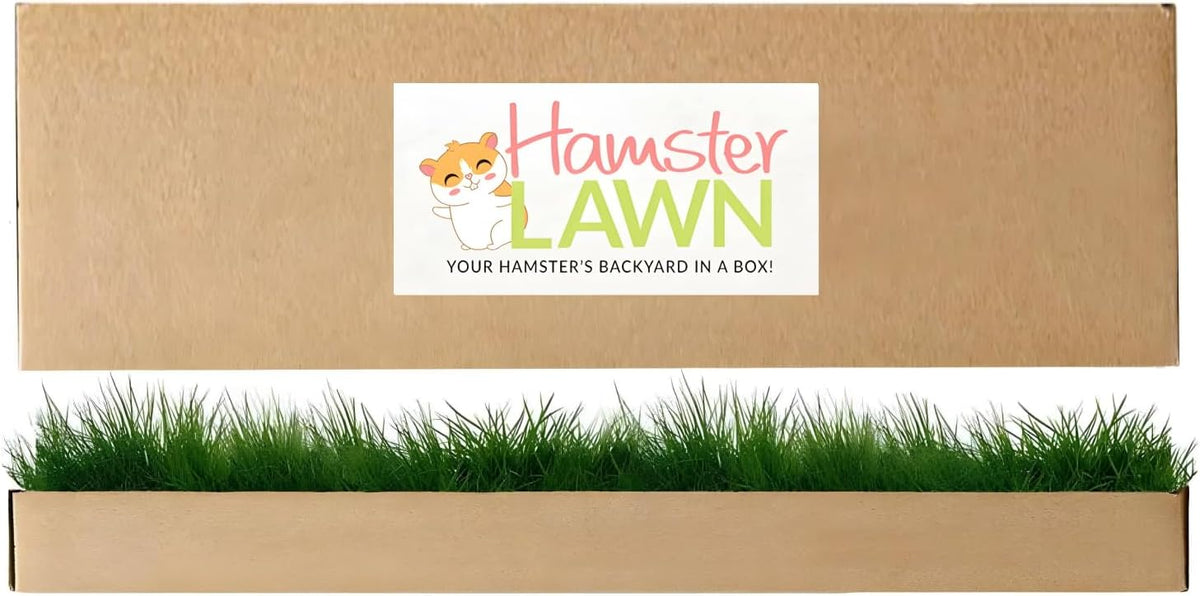 Natural Grass Patch for Guinea Pig, Hamster, Rabbit, Grande 24x9