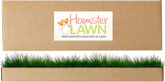 Natural Grass Patch for Guinea Pig, Hamster, Rabbit, Grande 24x9