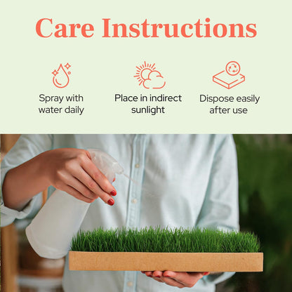 Natural Grass Patch for Guinea Pig, Hamster, Rabbit, Grande 24x9