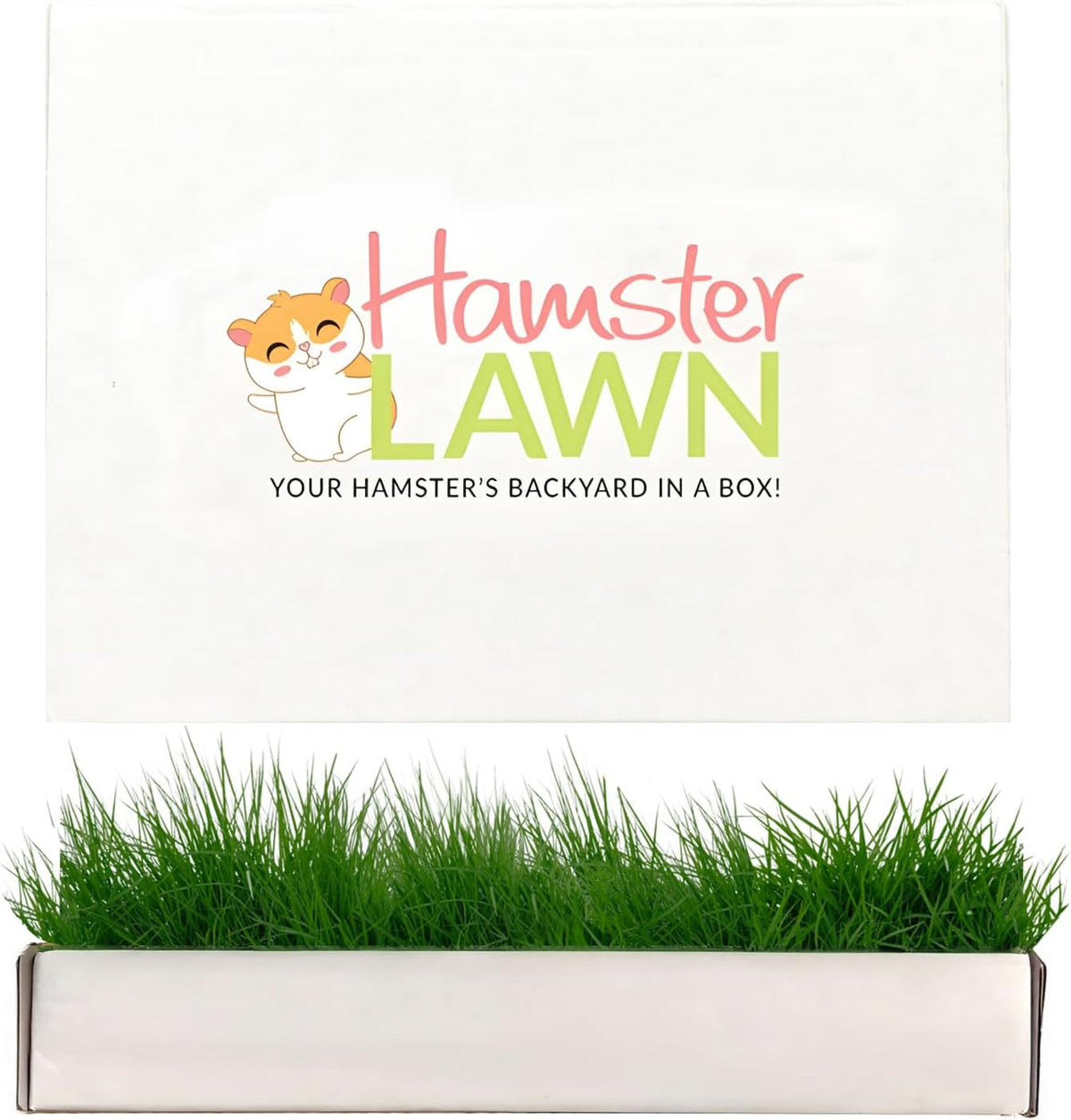Natural Grass Patch for Guinea Pig, Hamster, Rabbit, Grande 24x9
