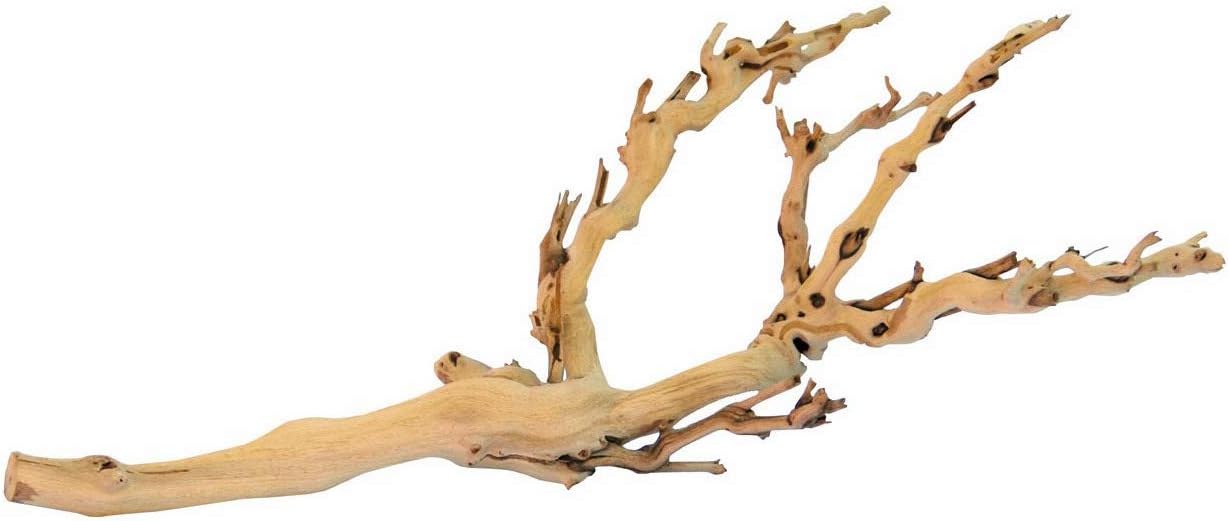 Forest Branch Small – Natural Wood Terrarium Decoration for Reptiles, Amphibians & Small Pets