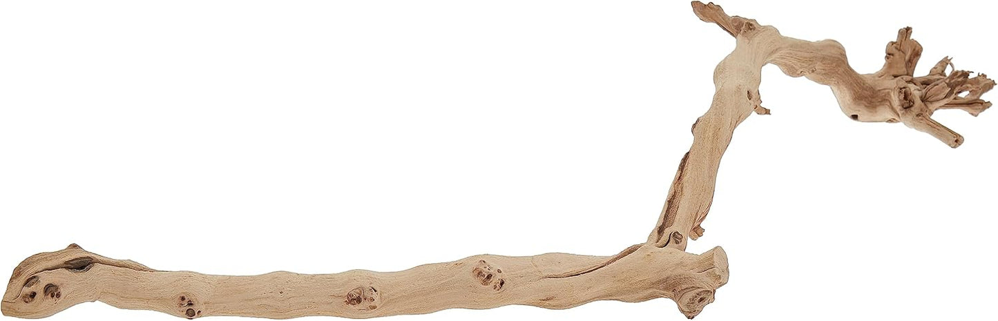 Forest Branch Small – Natural Wood Terrarium Decoration for Reptiles, Amphibians & Small Pets