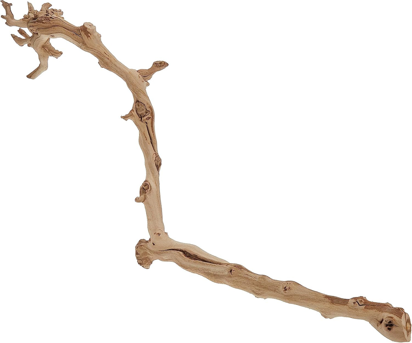 Forest Branch Small – Natural Wood Terrarium Decoration for Reptiles, Amphibians & Small Pets