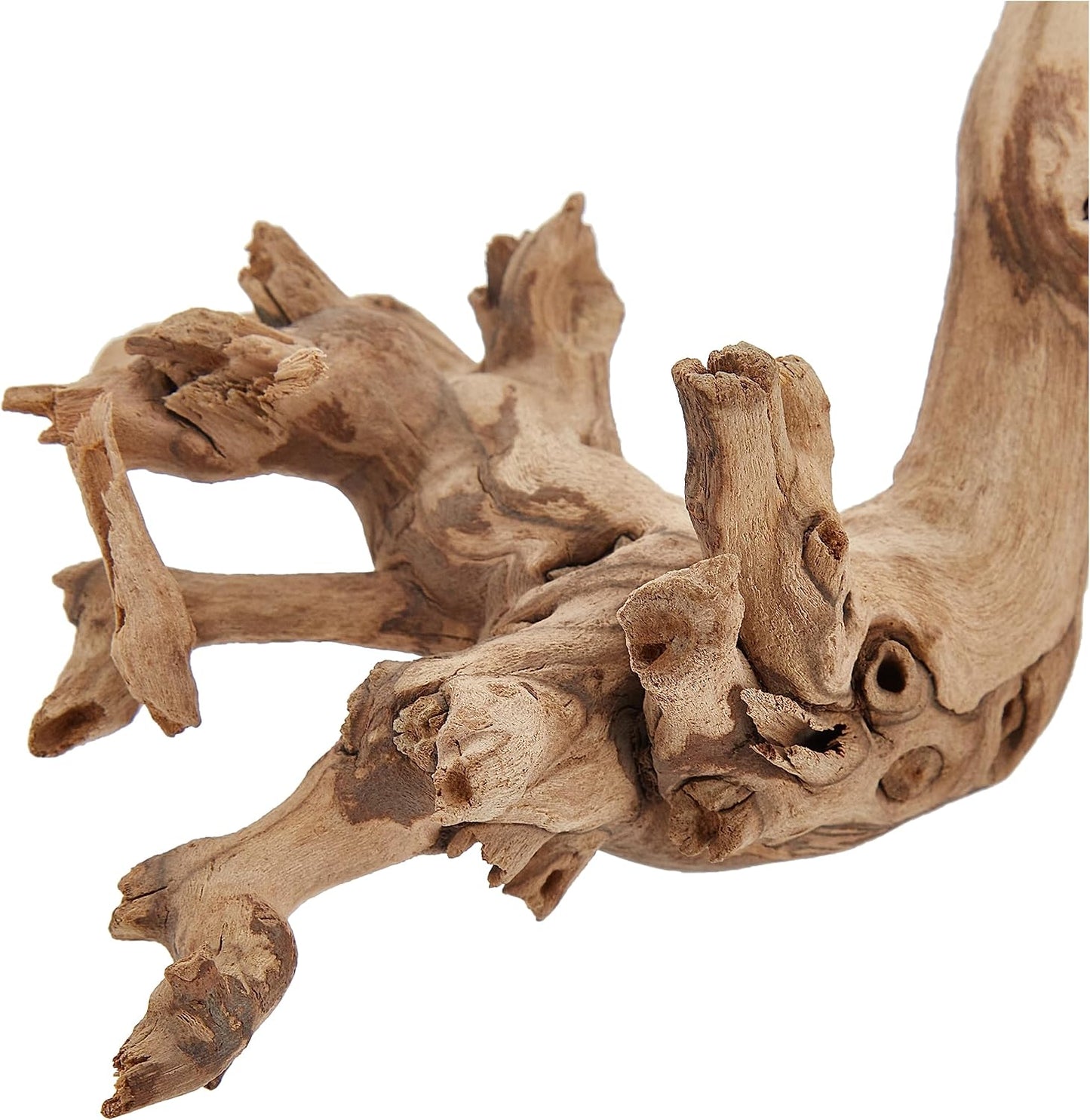 Forest Branch Small – Natural Wood Terrarium Decoration for Reptiles, Amphibians & Small Pets