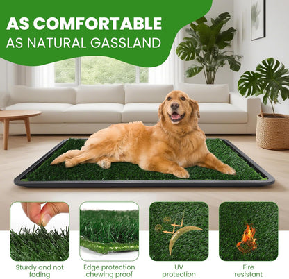 FURWAY Dog Grass Pad with Tray Artificial Grass Puppy Pee Pad for Dogs, Reusable 4-Layer Training Potty Pad with Tray, Quick Absorbent Indoor & Outdoor Portable Dog Patio Potty ( 35.4"x23.6")