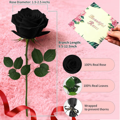 Single Forever Roses Luxury Gift for Women/Men, Birthday Gifts for Women,Flowers Gifts for Girlfriend,Wife,Mom,Anniversary,Valentine's Day,Wedding,Graduation,Presents for Her,Red