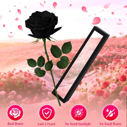 Single Forever Roses Luxury Gift for Women/Men, Birthday Gifts for Women,Flowers Gifts for Girlfriend,Wife,Mom,Anniversary,Valentine's Day,Wedding,Graduation,Presents for Her,Red