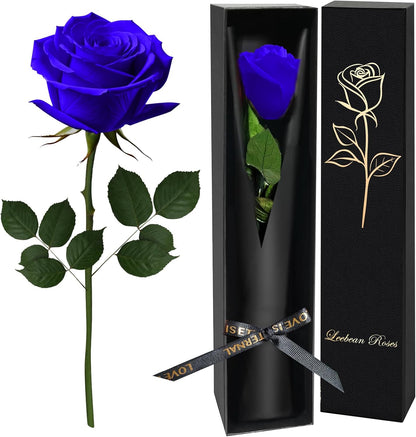 Single Forever Roses Luxury Gift for Women/Men, Birthday Gifts for Women,Flowers Gifts for Girlfriend,Wife,Mom,Anniversary,Valentine's Day,Wedding,Graduation,Presents for Her,Red
