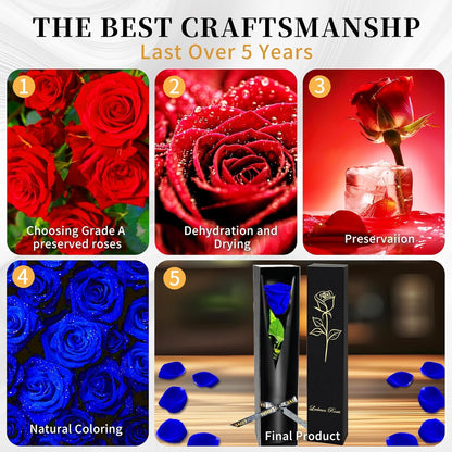 Single Forever Roses Luxury Gift for Women/Men, Birthday Gifts for Women,Flowers Gifts for Girlfriend,Wife,Mom,Anniversary,Valentine's Day,Wedding,Graduation,Presents for Her,Red