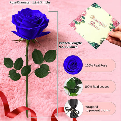 Single Forever Roses Luxury Gift for Women/Men, Birthday Gifts for Women,Flowers Gifts for Girlfriend,Wife,Mom,Anniversary,Valentine's Day,Wedding,Graduation,Presents for Her,Red