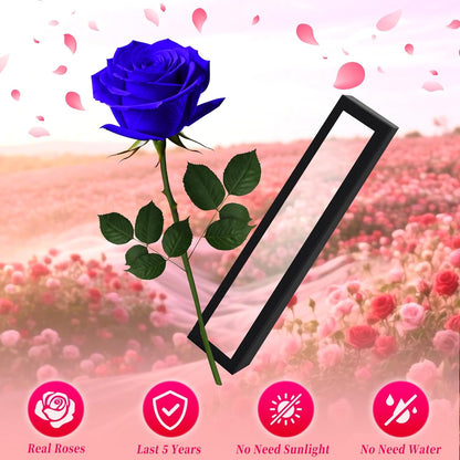Single Forever Roses Luxury Gift for Women/Men, Birthday Gifts for Women,Flowers Gifts for Girlfriend,Wife,Mom,Anniversary,Valentine's Day,Wedding,Graduation,Presents for Her,Red