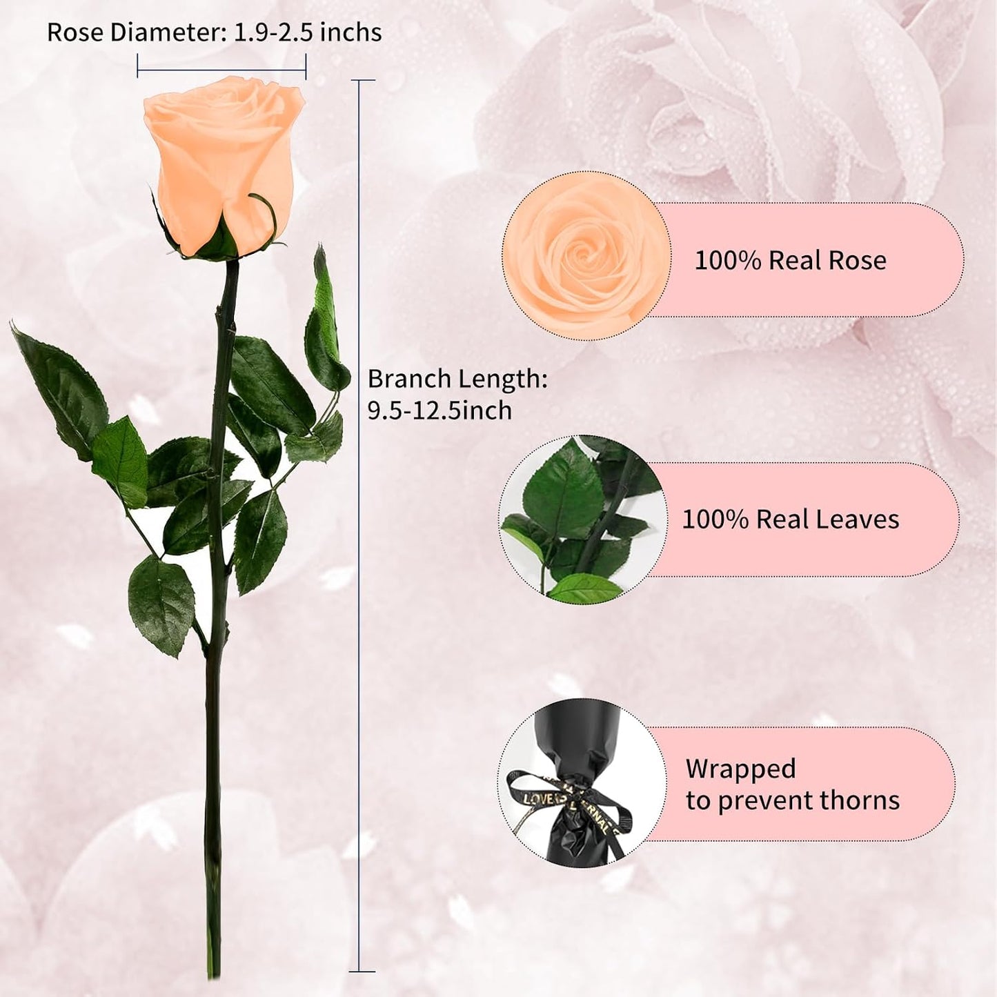 Single Forever Roses Luxury Gift for Women/Men, Birthday Gifts for Women,Flowers Gifts for Girlfriend,Wife,Mom,Anniversary,Valentine's Day,Wedding,Graduation,Presents for Her,Red