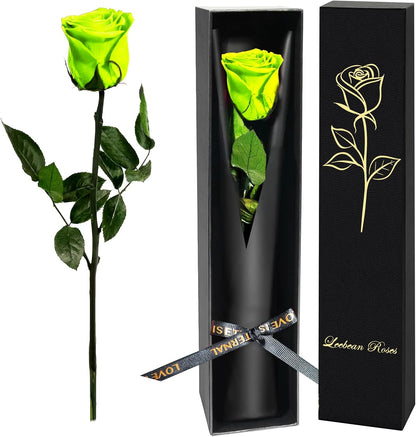Single Forever Roses Luxury Gift for Women/Men, Birthday Gifts for Women,Flowers Gifts for Girlfriend,Wife,Mom,Anniversary,Valentine's Day,Wedding,Graduation,Presents for Her,Red