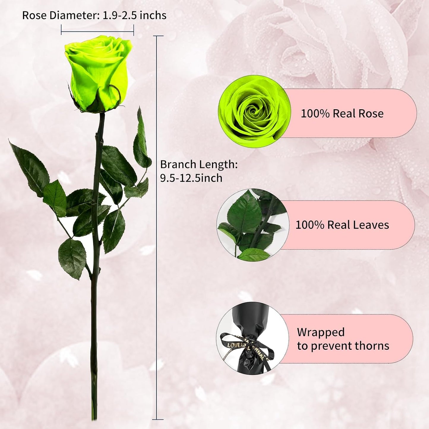 Single Forever Roses Luxury Gift for Women/Men, Birthday Gifts for Women,Flowers Gifts for Girlfriend,Wife,Mom,Anniversary,Valentine's Day,Wedding,Graduation,Presents for Her,Red