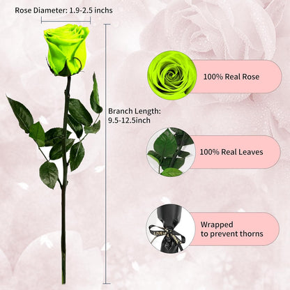 Single Forever Roses Luxury Gift for Women/Men, Birthday Gifts for Women,Flowers Gifts for Girlfriend,Wife,Mom,Anniversary,Valentine's Day,Wedding,Graduation,Presents for Her,Red