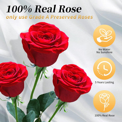 Single Forever Roses Luxury Gift for Women/Men, Birthday Gifts for Women,Flowers Gifts for Girlfriend,Wife,Mom,Anniversary,Valentine's Day,Wedding,Graduation,Presents for Her,Red