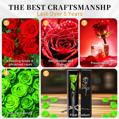 Single Forever Roses Luxury Gift for Women/Men, Birthday Gifts for Women,Flowers Gifts for Girlfriend,Wife,Mom,Anniversary,Valentine's Day,Wedding,Graduation,Presents for Her,Red
