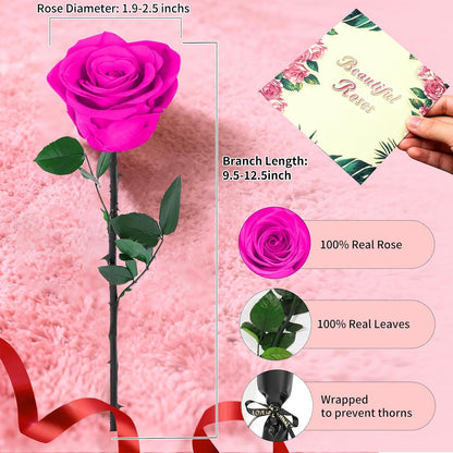 Single Forever Roses Luxury Gift for Women/Men, Birthday Gifts for Women,Flowers Gifts for Girlfriend,Wife,Mom,Anniversary,Valentine's Day,Wedding,Graduation,Presents for Her,Red
