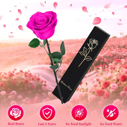 Single Forever Roses Luxury Gift for Women/Men, Birthday Gifts for Women,Flowers Gifts for Girlfriend,Wife,Mom,Anniversary,Valentine's Day,Wedding,Graduation,Presents for Her,Red