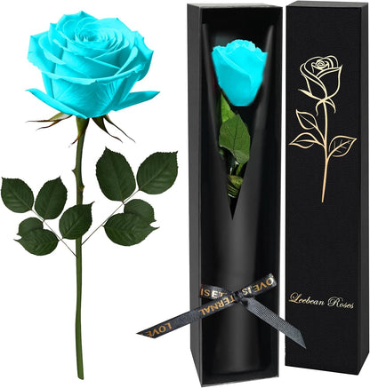 Single Forever Roses Luxury Gift for Women/Men, Birthday Gifts for Women,Flowers Gifts for Girlfriend,Wife,Mom,Anniversary,Valentine's Day,Wedding,Graduation,Presents for Her,Red