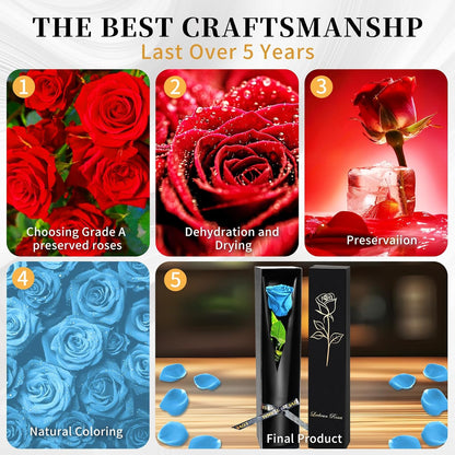 Single Forever Roses Luxury Gift for Women/Men, Birthday Gifts for Women,Flowers Gifts for Girlfriend,Wife,Mom,Anniversary,Valentine's Day,Wedding,Graduation,Presents for Her,Red