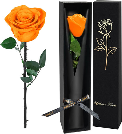 Single Forever Roses Luxury Gift for Women/Men, Birthday Gifts for Women,Flowers Gifts for Girlfriend,Wife,Mom,Anniversary,Valentine's Day,Wedding,Graduation,Presents for Her,Red