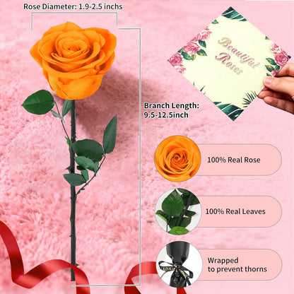 Single Forever Roses Luxury Gift for Women/Men, Birthday Gifts for Women,Flowers Gifts for Girlfriend,Wife,Mom,Anniversary,Valentine's Day,Wedding,Graduation,Presents for Her,Red