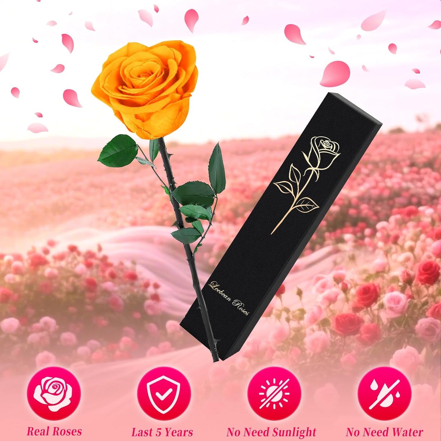 Single Forever Roses Luxury Gift for Women/Men, Birthday Gifts for Women,Flowers Gifts for Girlfriend,Wife,Mom,Anniversary,Valentine's Day,Wedding,Graduation,Presents for Her,Red