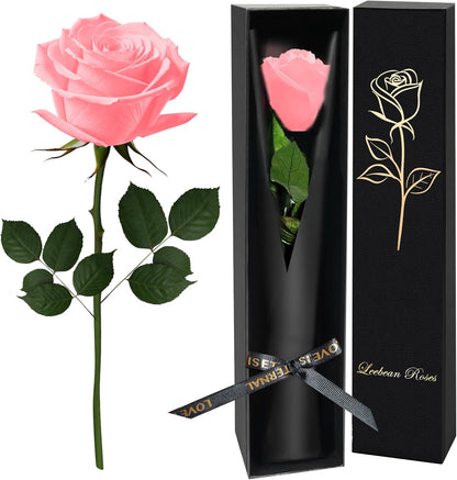 Single Forever Roses Luxury Gift for Women/Men, Birthday Gifts for Women,Flowers Gifts for Girlfriend,Wife,Mom,Anniversary,Valentine's Day,Wedding,Graduation,Presents for Her,Red