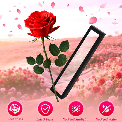 Single Forever Roses Luxury Gift for Women/Men, Birthday Gifts for Women,Flowers Gifts for Girlfriend,Wife,Mom,Anniversary,Valentine's Day,Wedding,Graduation,Presents for Her,Red