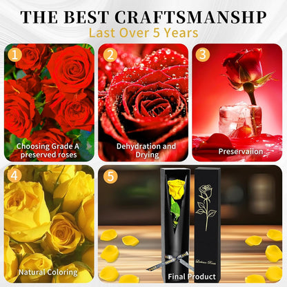 Single Forever Roses Luxury Gift for Women/Men, Birthday Gifts for Women,Flowers Gifts for Girlfriend,Wife,Mom,Anniversary,Valentine's Day,Wedding,Graduation,Presents for Her,Red
