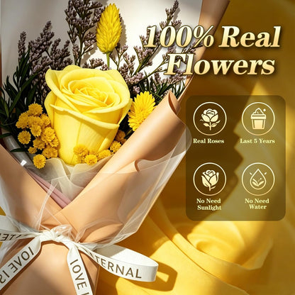 Single Forever Roses Luxury Gift for Women/Men, Birthday Gifts for Women,Flowers Gifts for Girlfriend,Wife,Mom,Anniversary,Valentine's Day,Wedding,Graduation,Presents for Her,Red