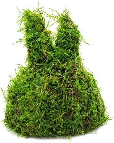 Live Planted Decor - Mini Bolbitis on Clay Moss Ball - Deep Green Fern Leaves Freshwater Aquatic Plant, Low Light, Foreground to Midground Tank Placement for Aquascaping - 1 Pack