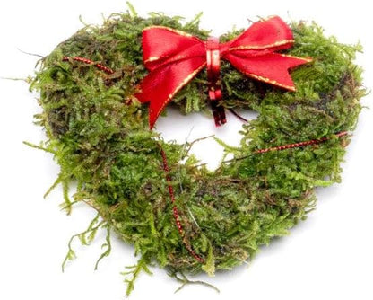 Live Planted Decor - Mini Bolbitis on Clay Moss Ball - Deep Green Fern Leaves Freshwater Aquatic Plant, Low Light, Foreground to Midground Tank Placement for Aquascaping - 1 Pack