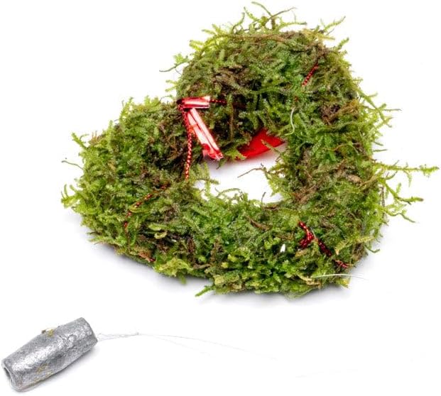 Live Planted Decor - Mini Bolbitis on Clay Moss Ball - Deep Green Fern Leaves Freshwater Aquatic Plant, Low Light, Foreground to Midground Tank Placement for Aquascaping - 1 Pack