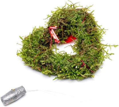 Live Planted Decor - Mini Bolbitis on Clay Moss Ball - Deep Green Fern Leaves Freshwater Aquatic Plant, Low Light, Foreground to Midground Tank Placement for Aquascaping - 1 Pack