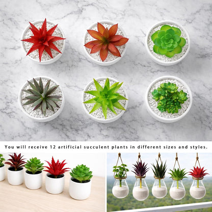 12 Pack Artificial Succulents, Mini Fake Succulent Plants Assortment, Small Faux Plastic Plants for DIY Crafts, Terrarium, Fairy Garden, Home Office Desk Decor