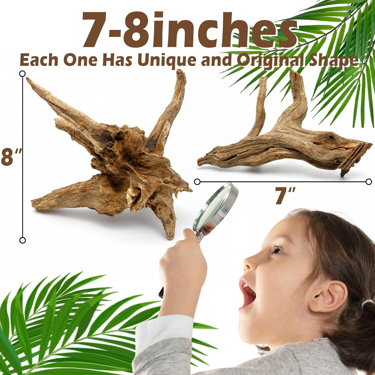 3PCS 8" Natural Driftwood Each Unique for Aquarium & Reptile Tank Decor
