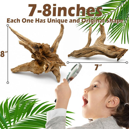 3PCS 8" Natural Driftwood Each Unique for Aquarium & Reptile Tank Decor