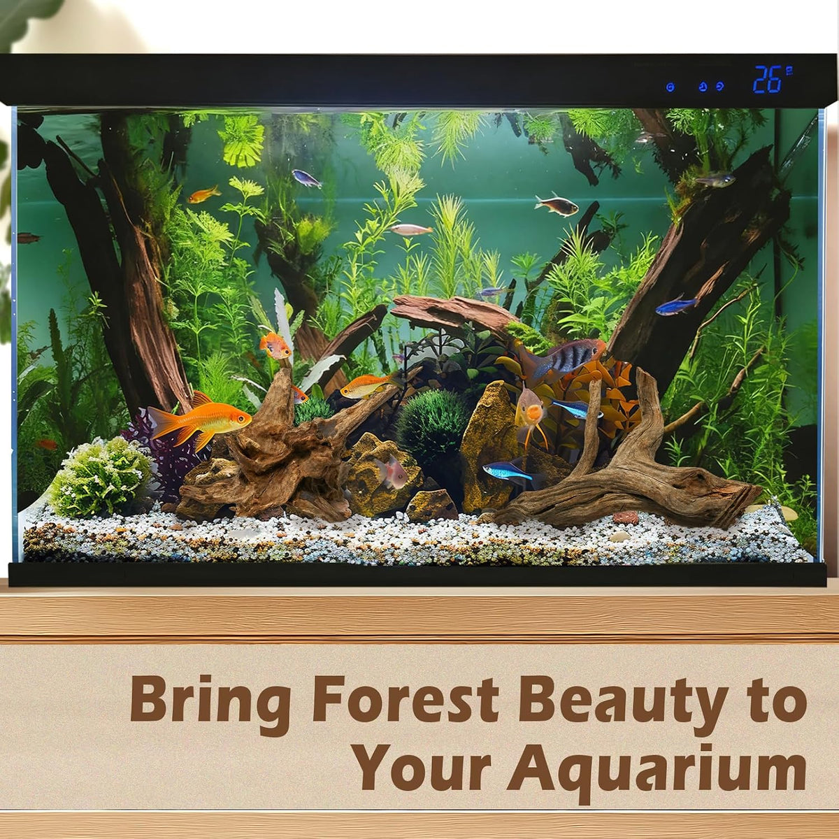 3PCS 8" Natural Driftwood Each Unique for Aquarium & Reptile Tank Decor
