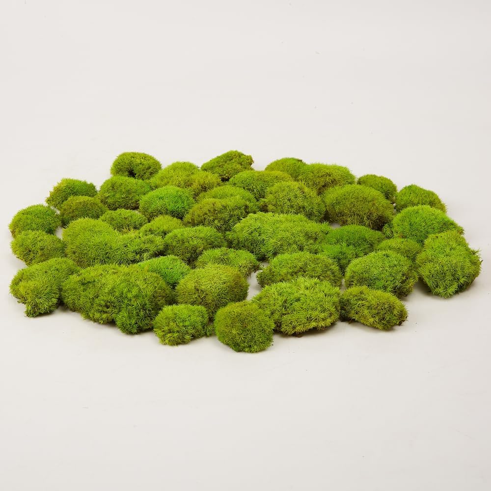 Preserved Pole Moss Pillow Bun Cushion Natural Green Decorative Real Natural Green DIY Kit Terrariums Gardenning Art Wall Decor Florist Decor Easter Table Wedding(1.5 sq.ft, Green-B)