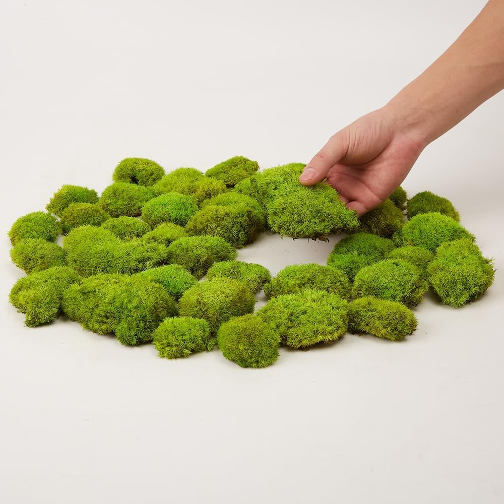 Preserved Pole Moss Pillow Bun Cushion Natural Green Decorative Real Natural Green DIY Kit Terrariums Gardenning Art Wall Decor Florist Decor Easter Table Wedding(1.5 sq.ft, Green-B)