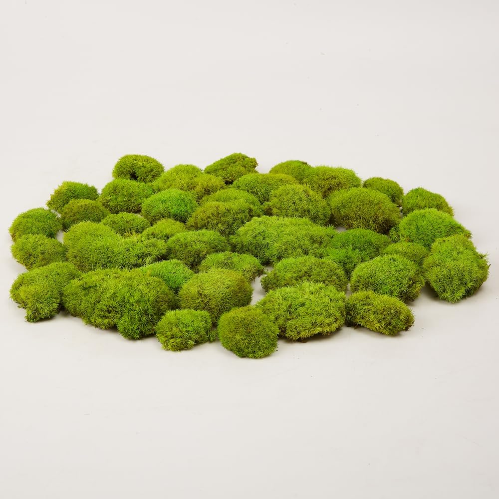 Preserved Pole Moss Pillow Bun Cushion Natural Green Decorative Real Natural Green DIY Kit Terrariums Gardenning Art Wall Decor Florist Decor Easter Table Wedding(1.5 sq.ft, Green-B)