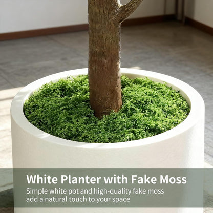 6FT Artificial Fiddle Leaf Fig Tree with White Planter & Fake Moss, Realistic Faux Ficus Lyrata Floor Plant for Indoor Home Office Decor, Housewarming Gift
