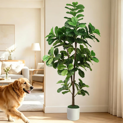 6FT Artificial Fiddle Leaf Fig Tree with White Planter & Fake Moss, Realistic Faux Ficus Lyrata Floor Plant for Indoor Home Office Decor, Housewarming Gift