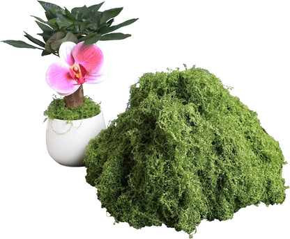 5.3oz Green Fake Moss Artificial Floral Moss Faux Plant for DIY Crafts Fairy Garden Pot Filler Vase Greenery Decorating Project Indoor Model Making Walls Glass Decor